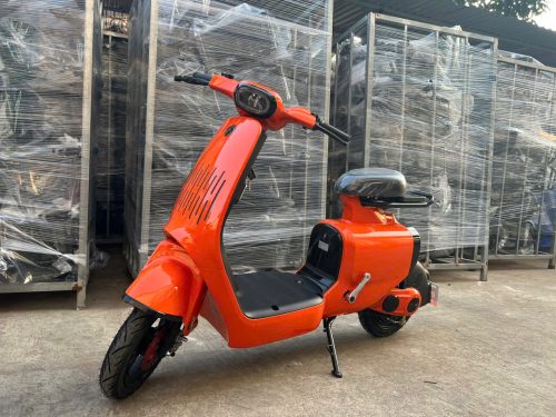 Xe Đạp Điện NIJIA WENDY