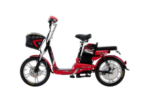 Xe Đạp Điện NIJIA WINTER S