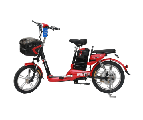 Xe Đạp Điện NIJIA WINTER
