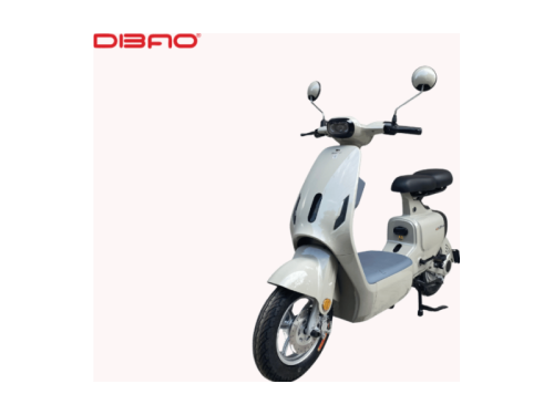 Xe Máy Điện Dibao V1 Plus V1240