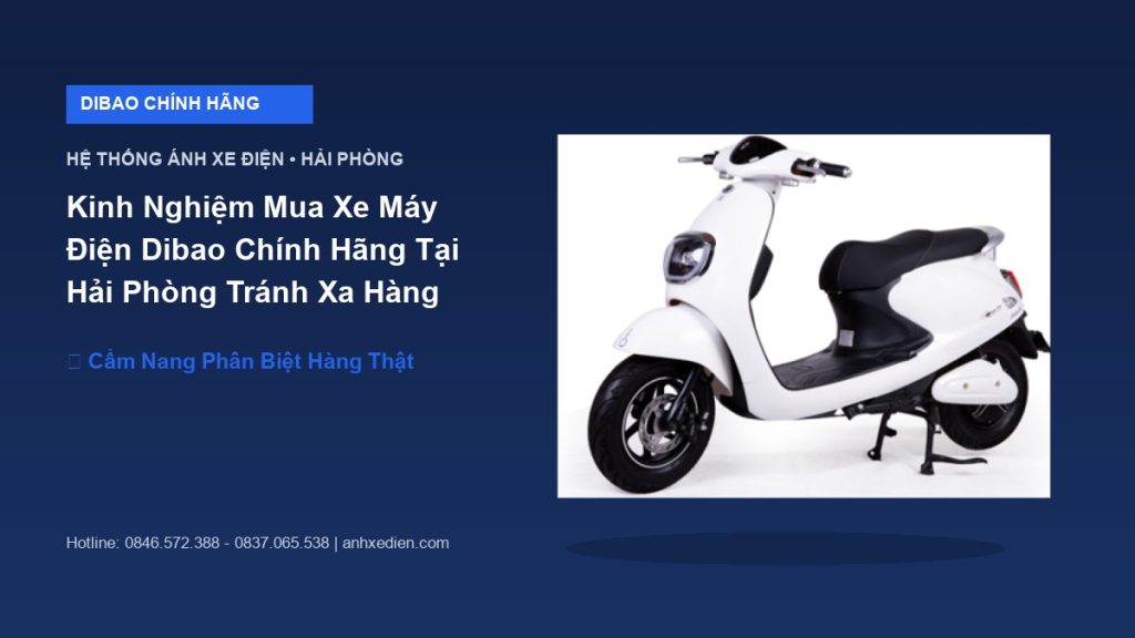 Kinh Nghiệm Mua Xe Máy Điện Dibao Chính Hãng Tại Hải Phòng Tránh Xa Hàng Giả Hàng Nhái